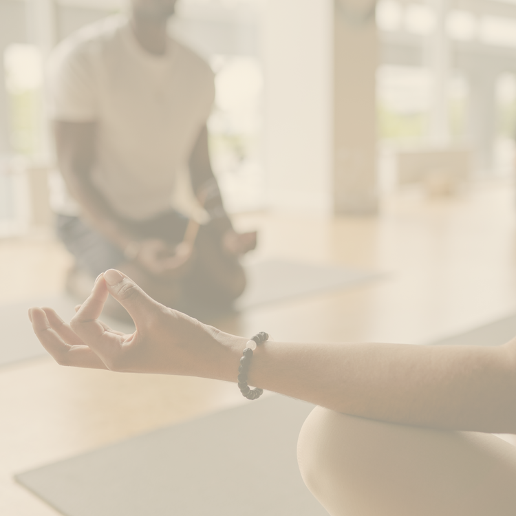 MEDITAÇÕES