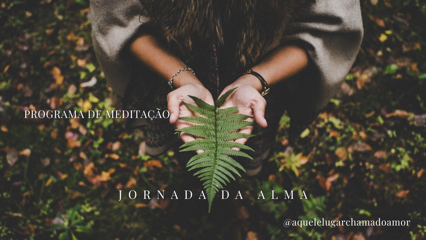 Programa Meditação Guiada - A jornada da alma